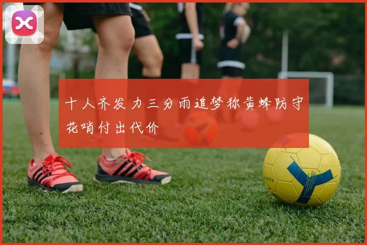 十人齐发力三分雨追梦称黄蜂防守花哨付出代价